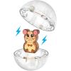 imageMAGNATILES Hamster Ball 13Piece Magnetic Construction Set The Original Magnetic Building Brand
